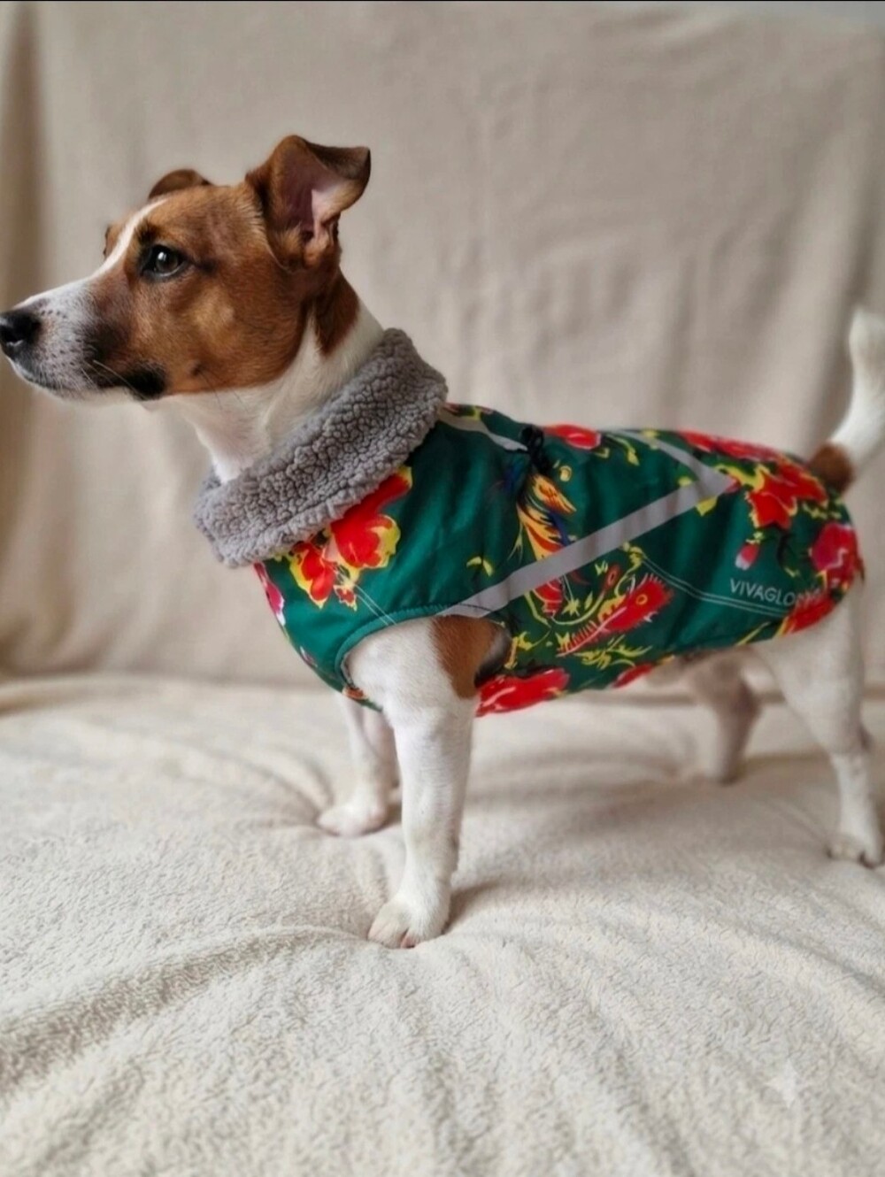 VIVAGLOW Green Floral Dog Coat with Fleece Collar
